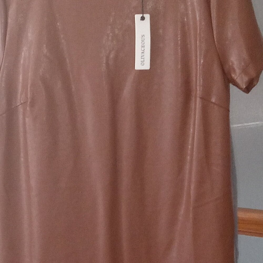Faux Leather Dress